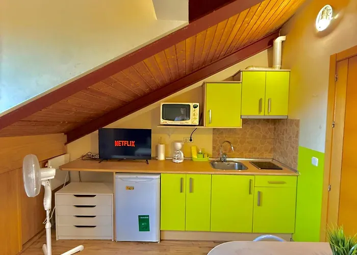 En Plaza Mayor De 公寓 塞哥维亚